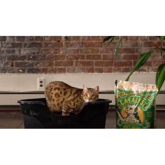 Cat Litter W57247