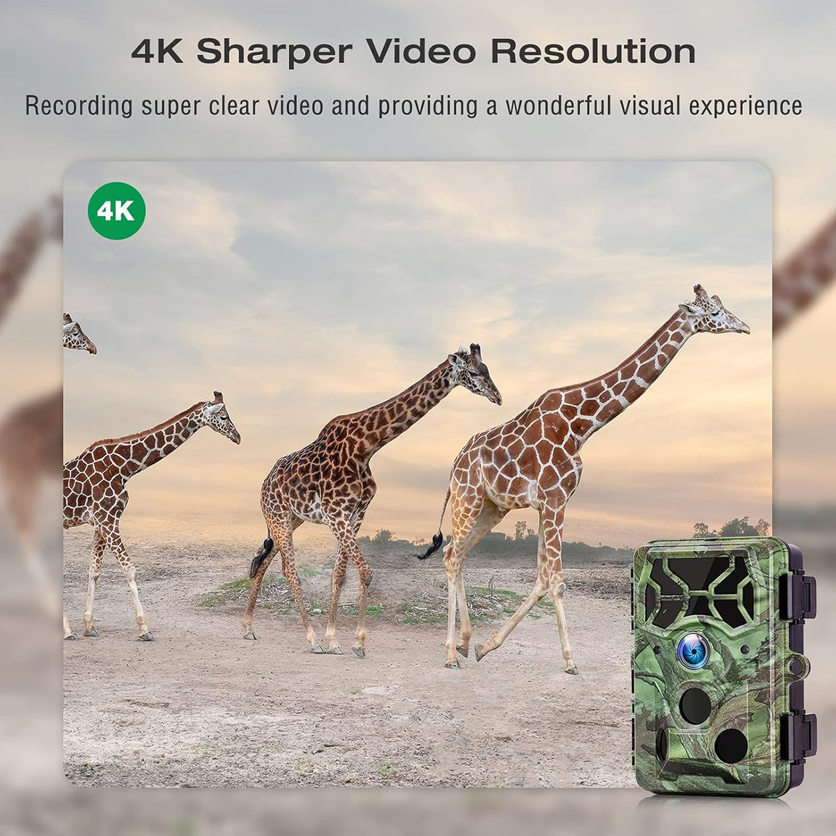 4K Native 30MP WiFi Bluetooth Trail Camera with Night Vision E526