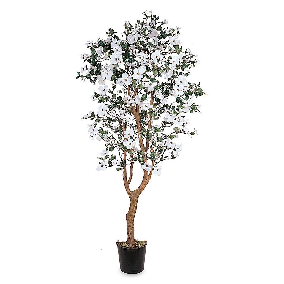5-Foot Silk Dogwood Tree G942