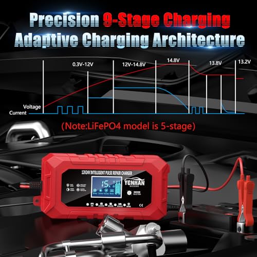 12V/24V LiFePO4 & Lead Acid Car Battery Charger R306285