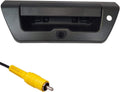 Tailgate Handle with Backup Camera C206604