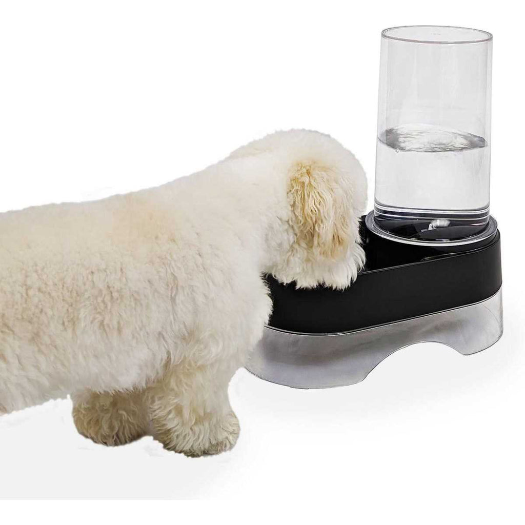 Elevated Gravity Pet Water Dispenser Y7598