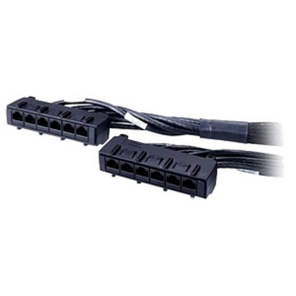 Black Cat 6 UTP Network Cable 55 ft I150