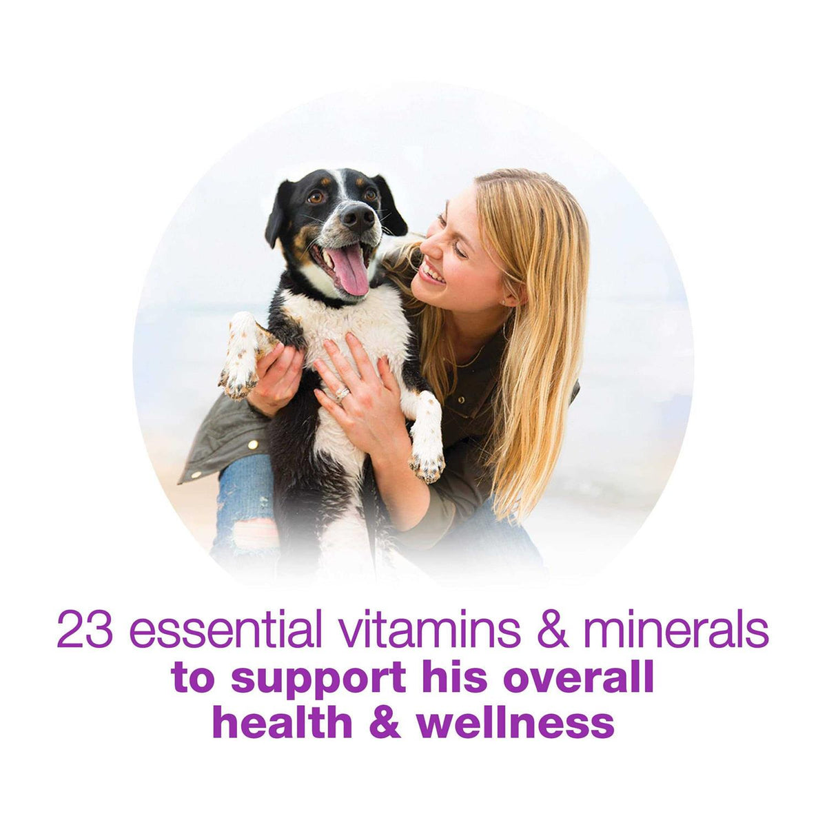 Wet Dog Food L984339