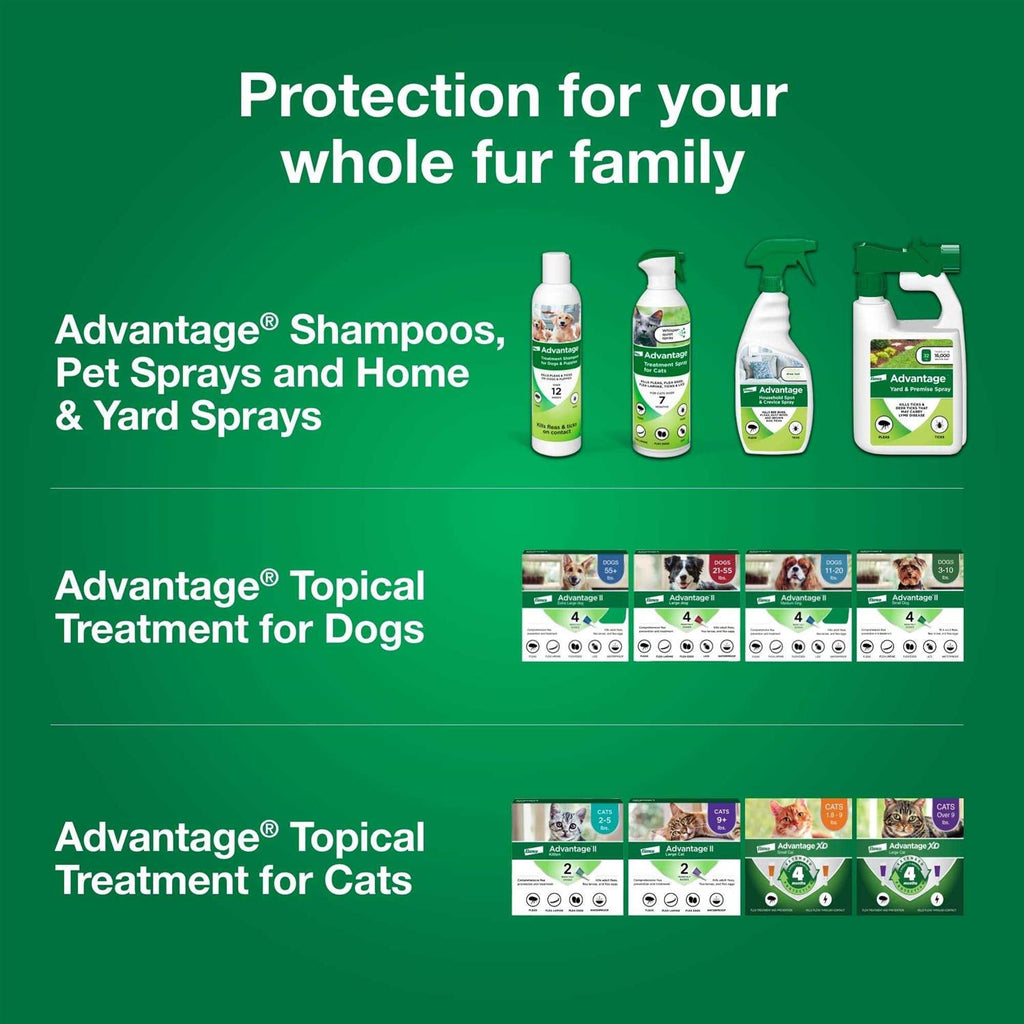 Flea Treatment Spray for Cats X29686