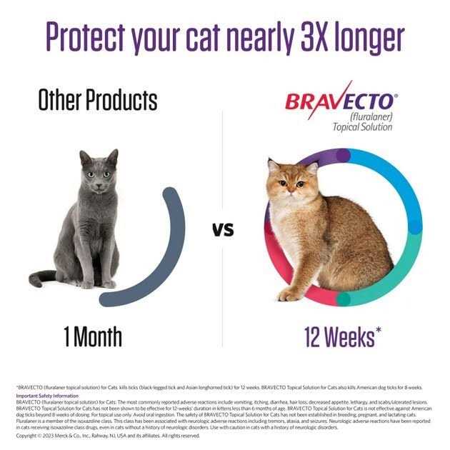 Bravecto Topical Solution for Cats P144