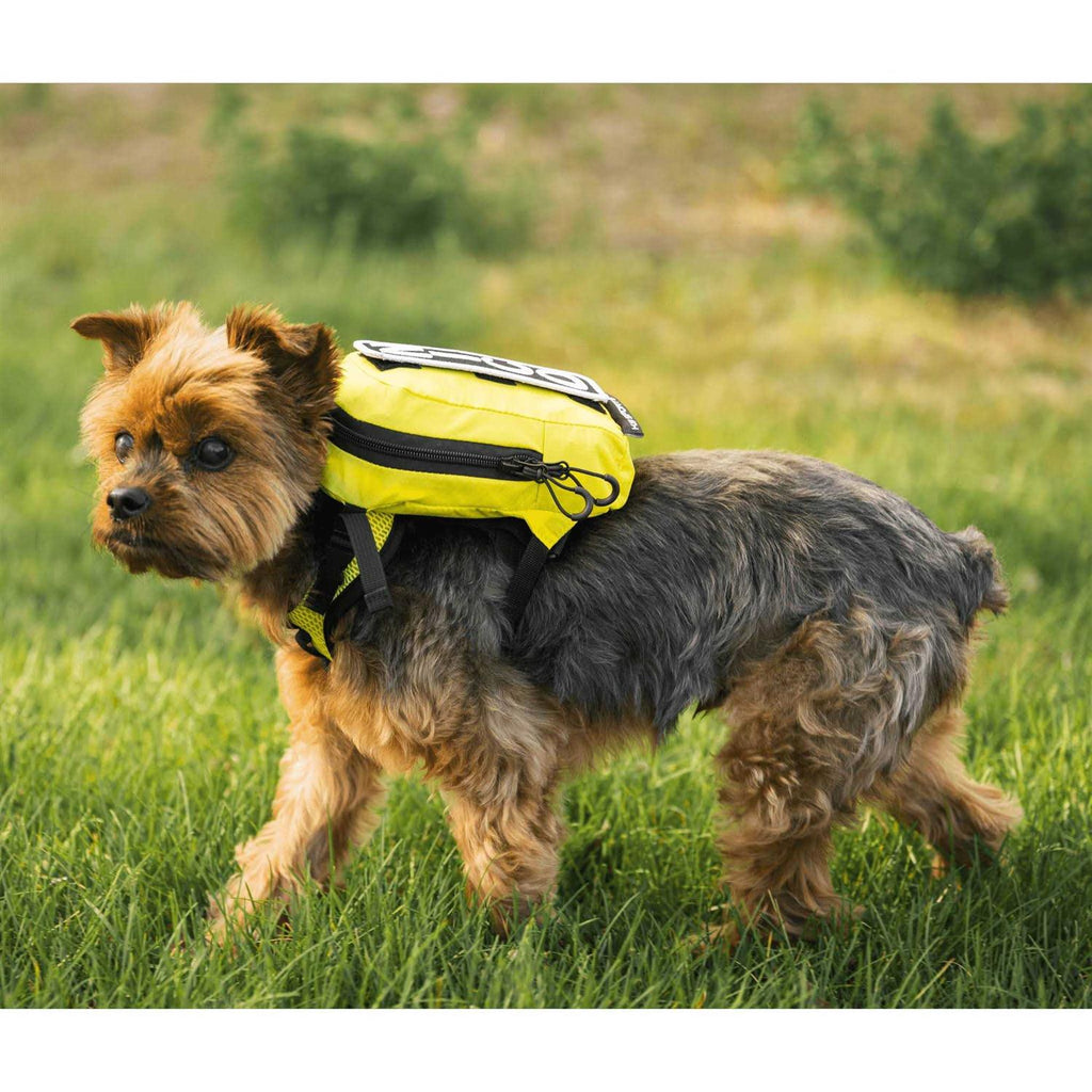 Walk On Dog Harness with Storage U767134