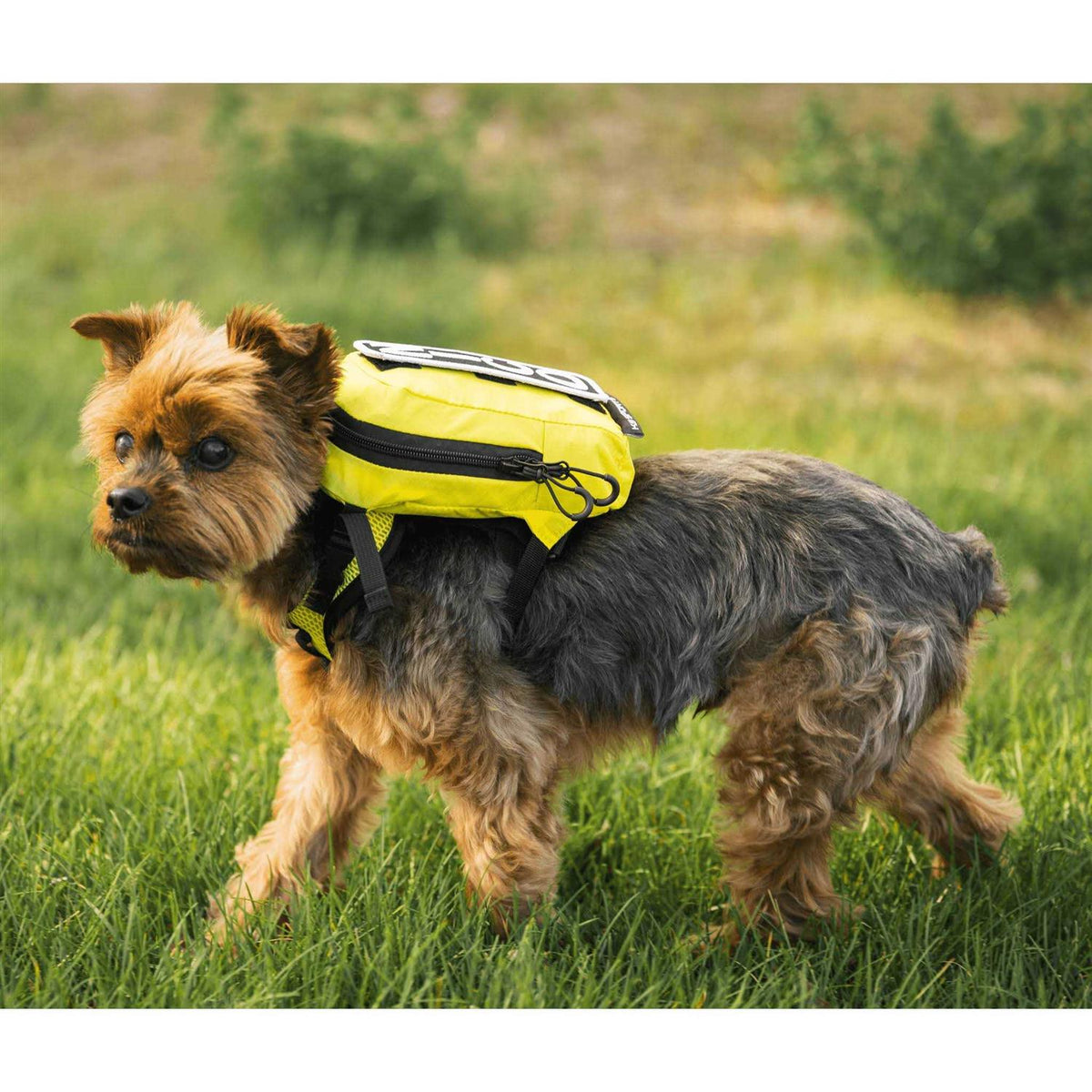 Walk On Dog Harness with Storage U767134