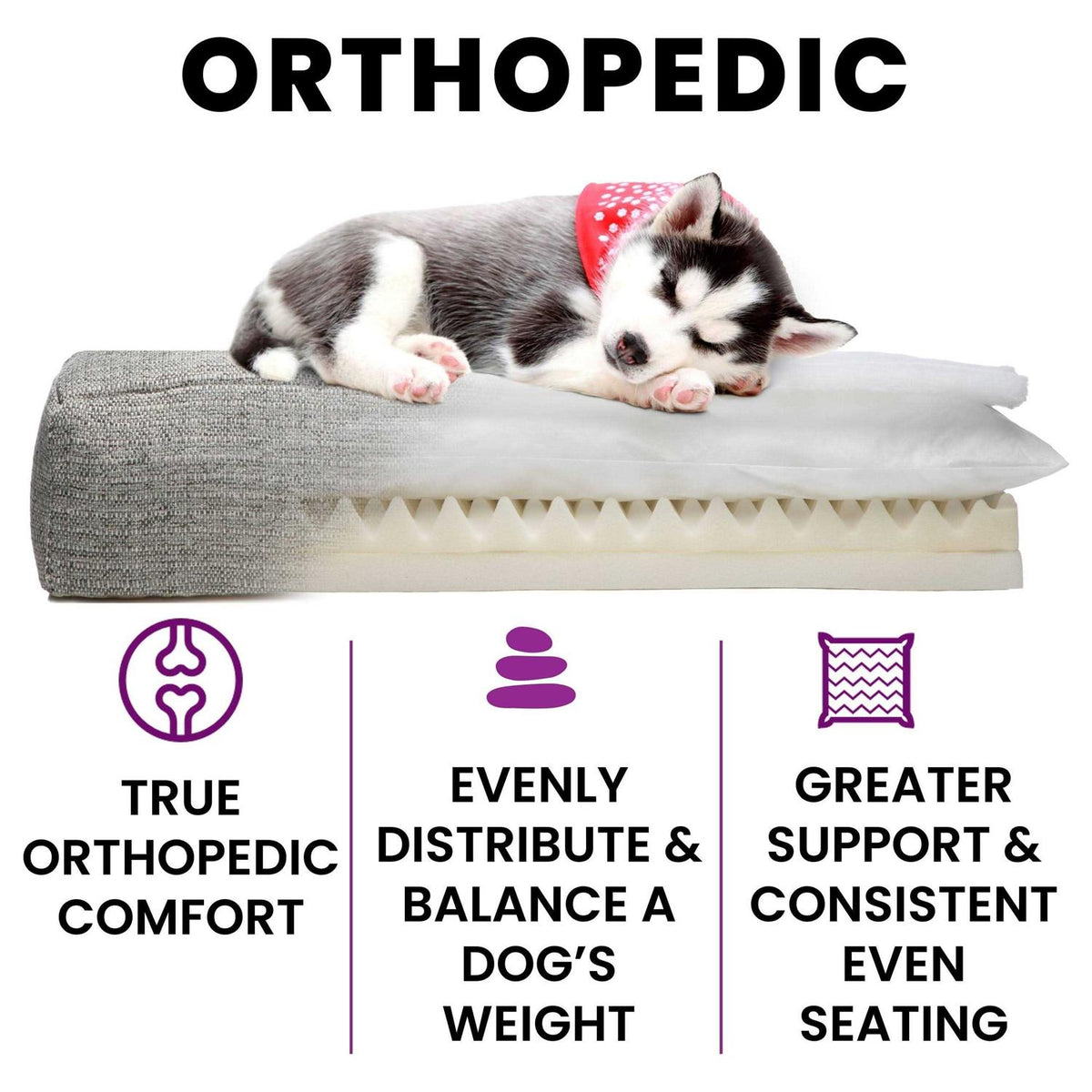 Orthopedic Dog Bed J362