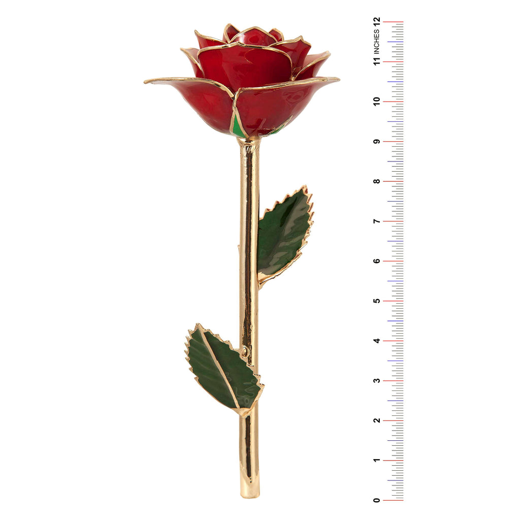 24K Gold Dipped Laquered Rose R6638