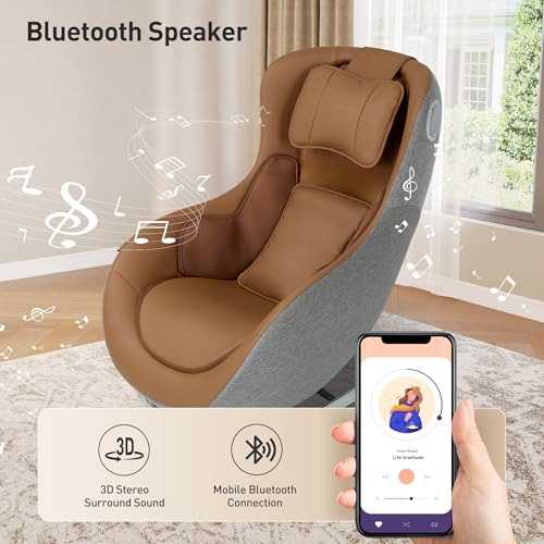 Brown Massage Chair B8165