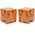 Teak Finish Outdoor Side Table Set of 2 C9884