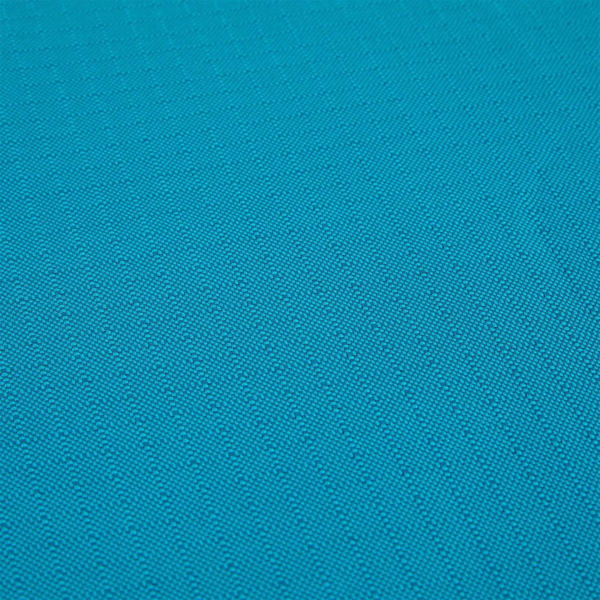 Teal Dog Mat K370563