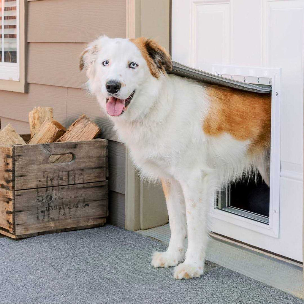 Aluminum Pet Door F64882