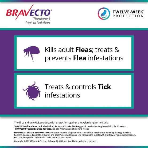 Bravecto Topical Solution for Cats P144