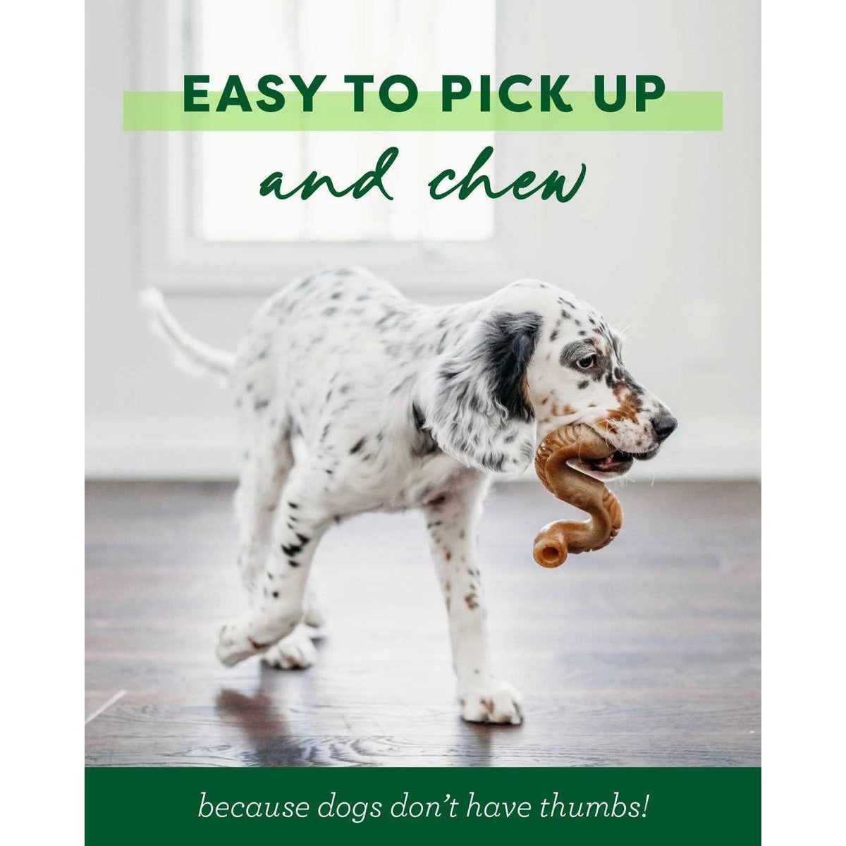 Dog Chew M3459