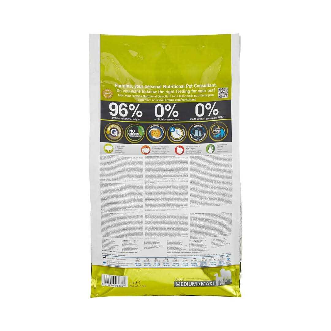 Pumpkin Boar Apple Adult Medium Maxi Dog Dry Food C885606