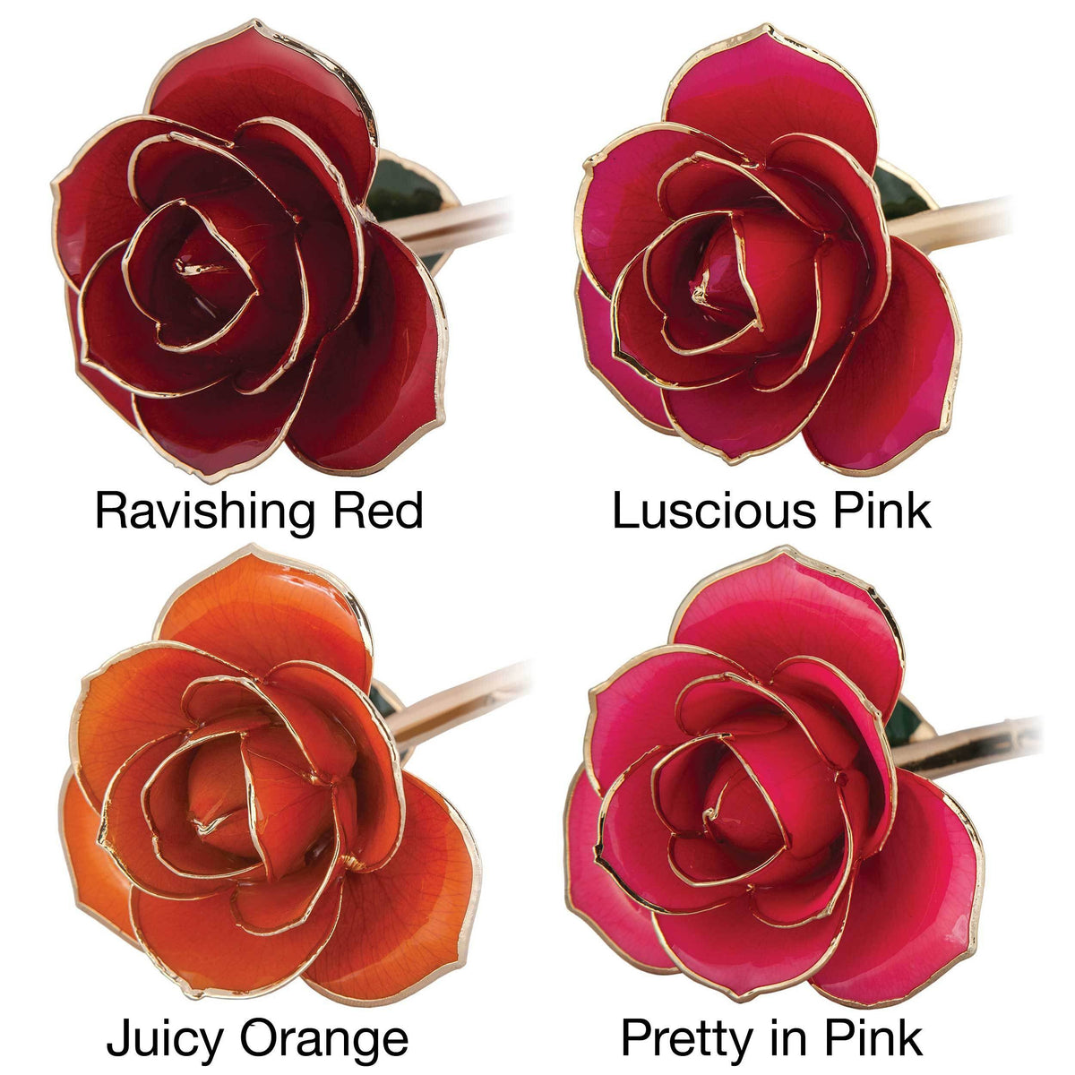 24K Gold Dipped Laquered Rose R6638