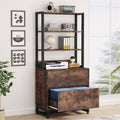 2 Drawer File Cabinet with Lock Bookshelf, Letter Size Printer Stand - Brown Z1998
