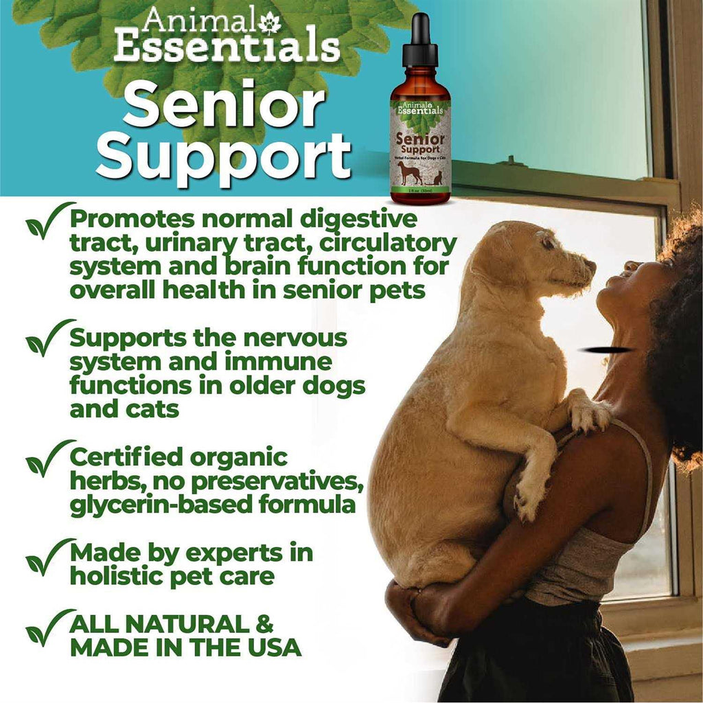 Senior Support A7904