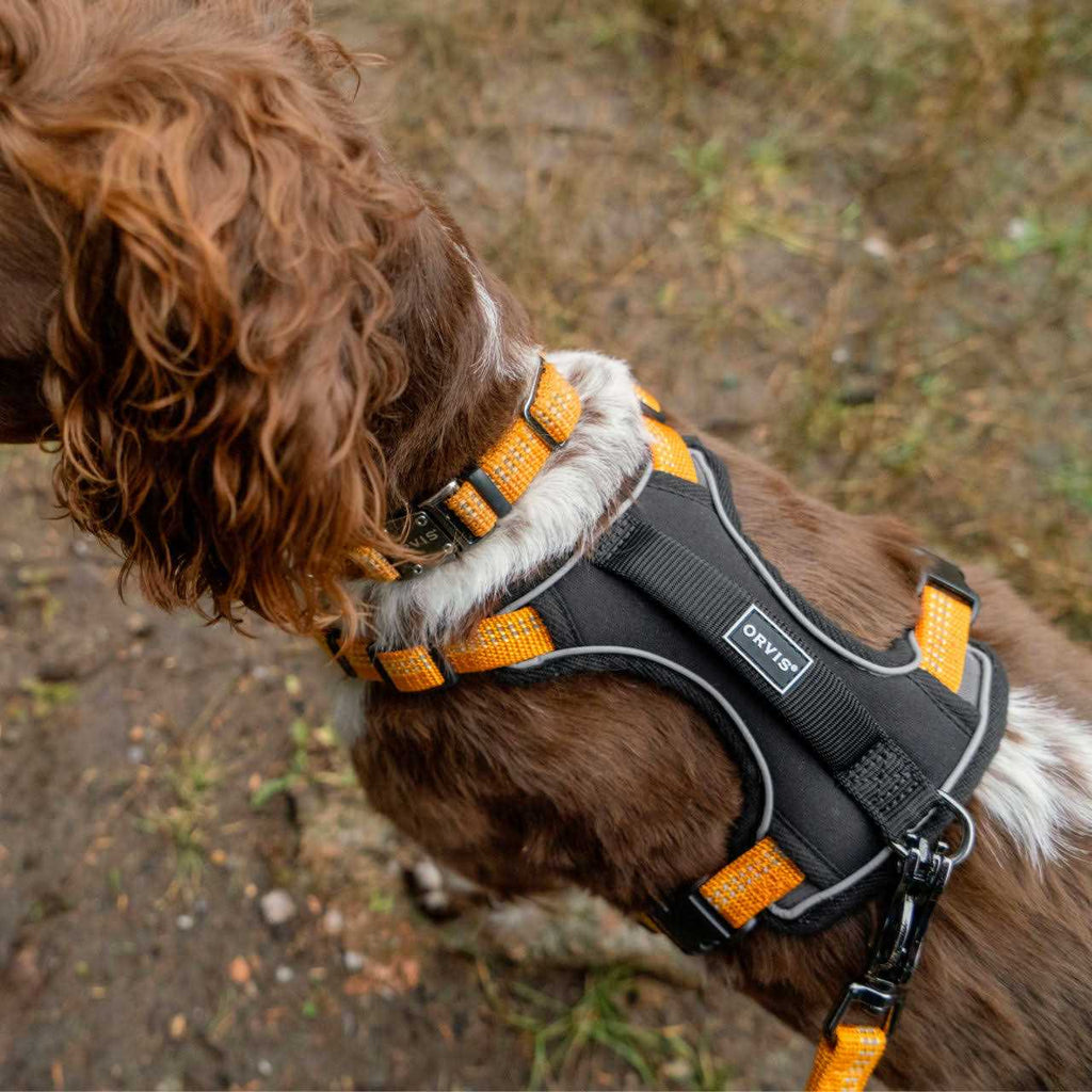 Dog Harness S72002