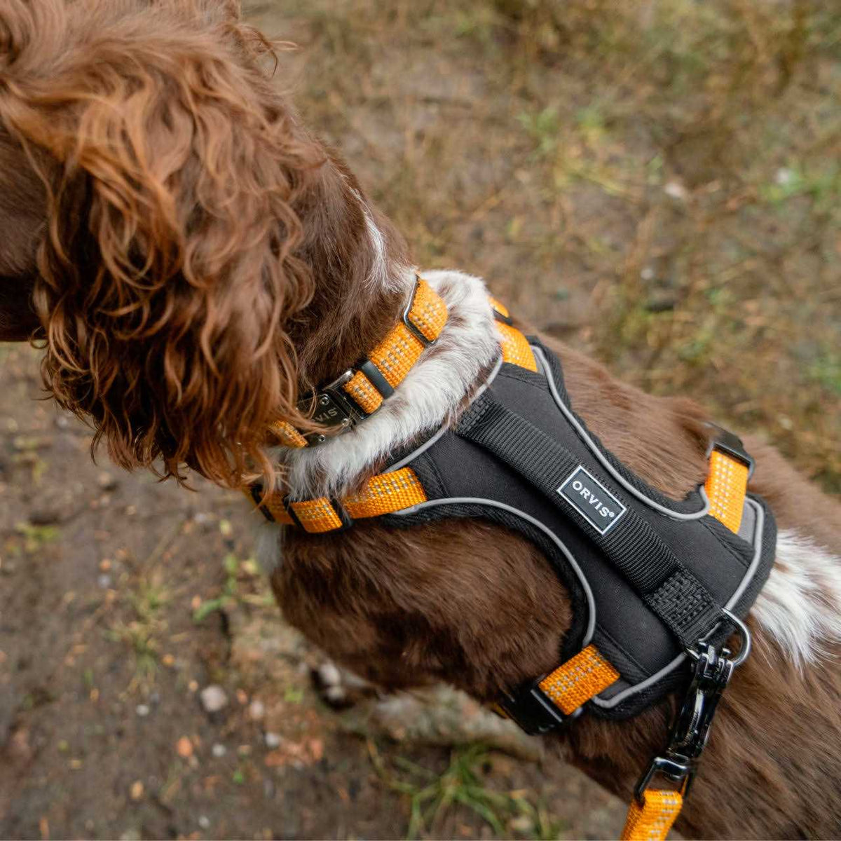 Dog Harness S72002