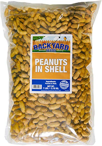 Raw Peanuts in The Shell 7 Pounds N7165