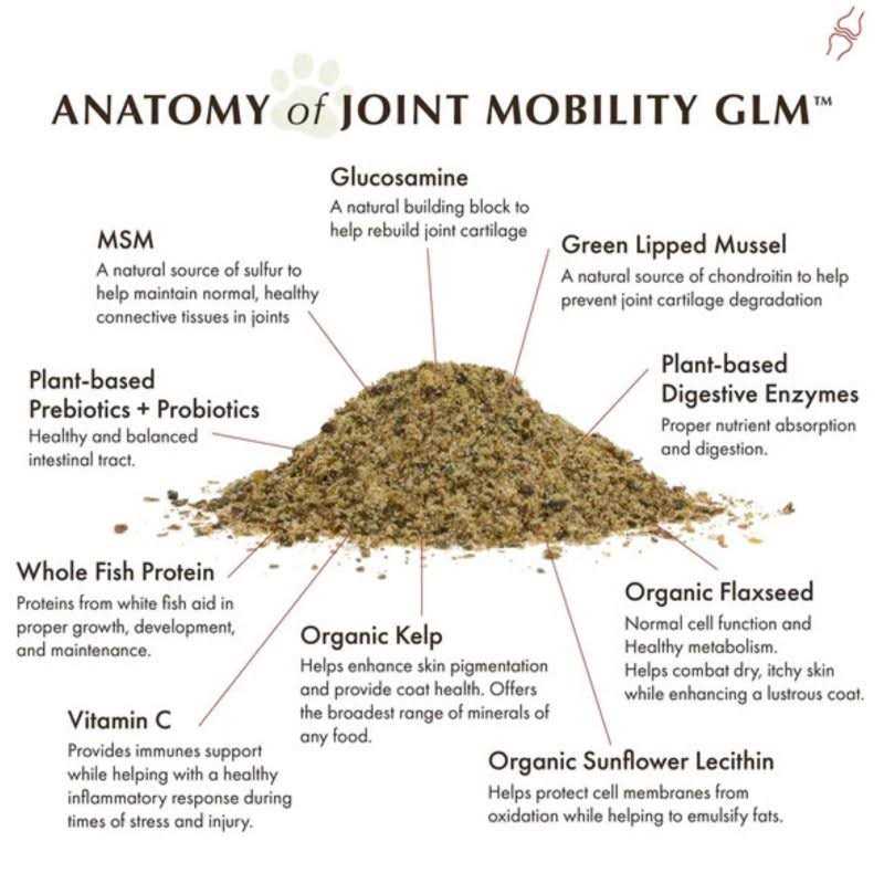 Joint Mobility with Green Lipped Mussel Pet Supplies P2605