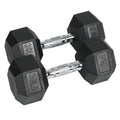 30 Pounds Hexagonal Cast Iron Dumbbell R961