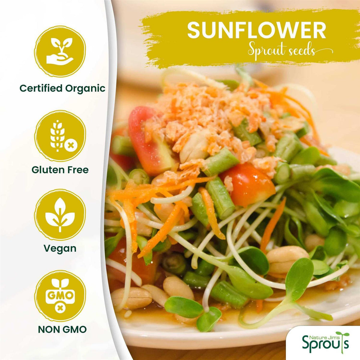 Certified Organic Black Oil Sunflower Seeds X427