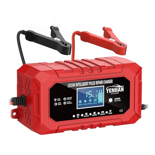 12V/24V LiFePO4 & Lead Acid Car Battery Charger R306285