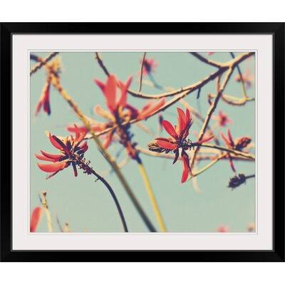 Photographic Print Black Frame I498983