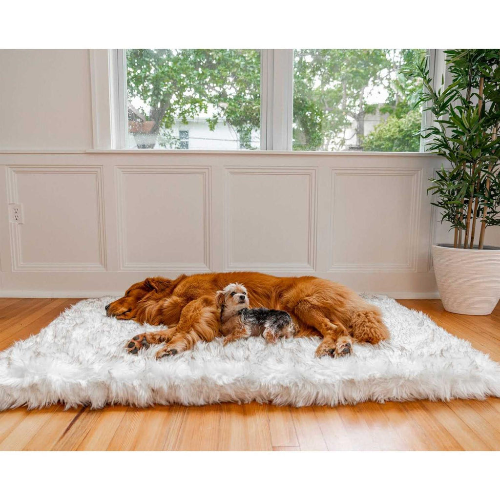 Faux Fur Orthopedic Dog Bed H74837