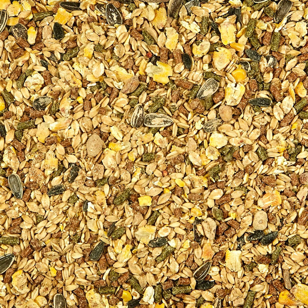 Mouse Rat Food U893164