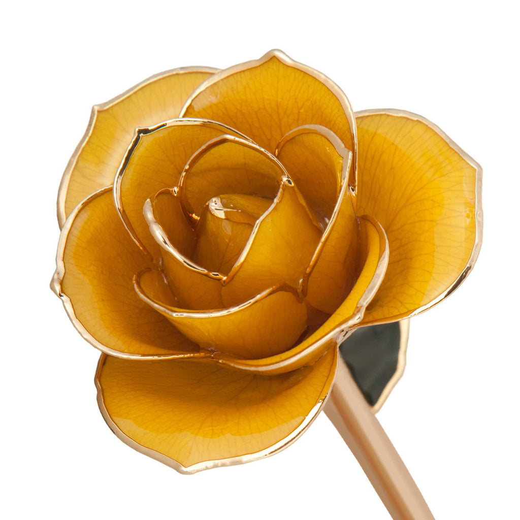 24K Gold Dipped Laquered Rose R6638