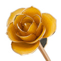 24K Gold Dipped Laquered Rose R6638