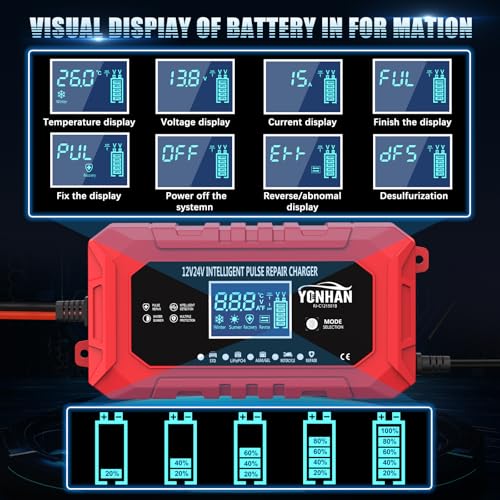 12V/24V LiFePO4 & Lead Acid Car Battery Charger R306285