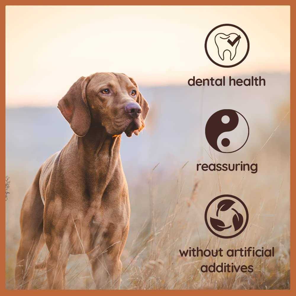 Chew Root for Dogs J180682