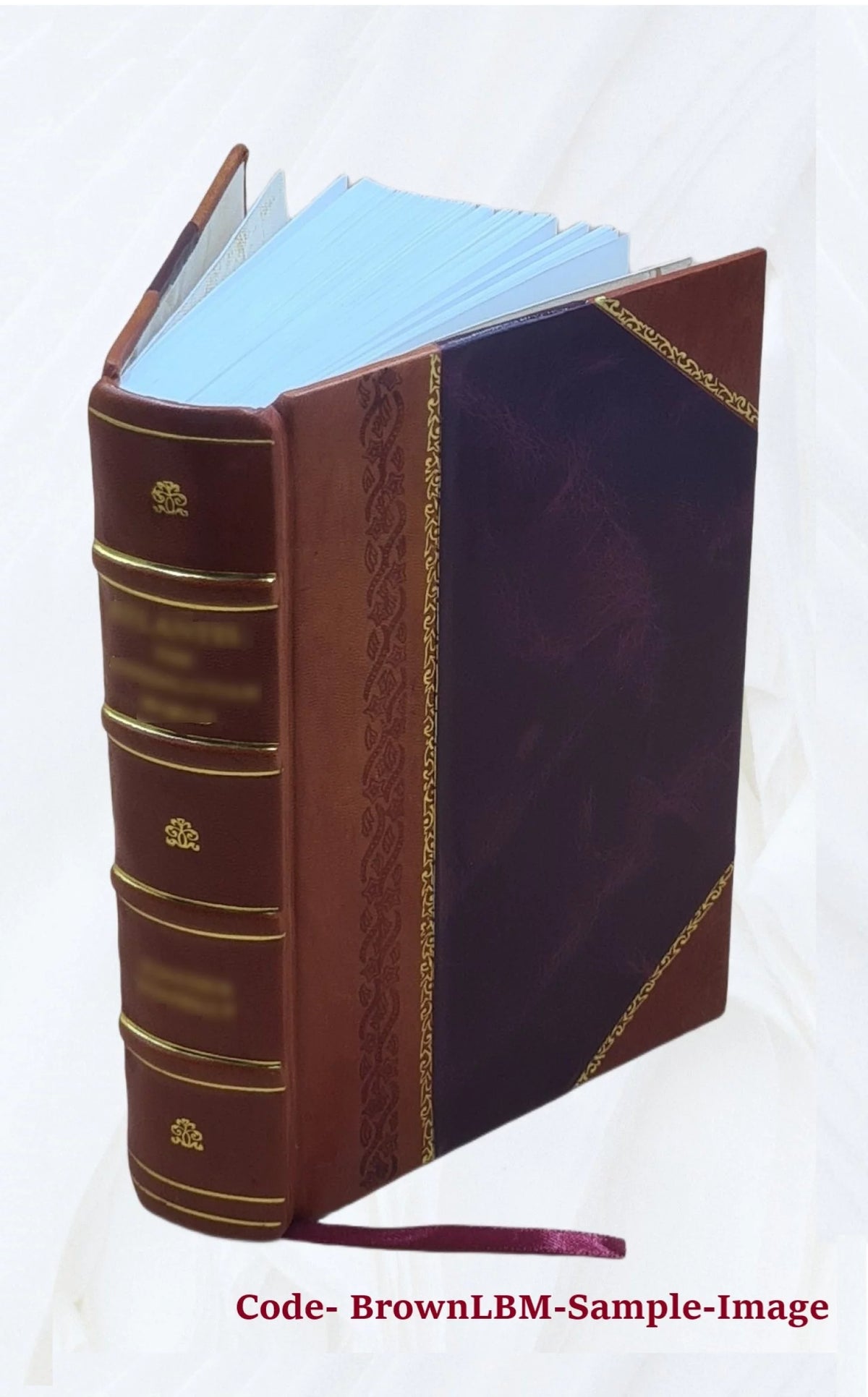 Leather Bound P4523