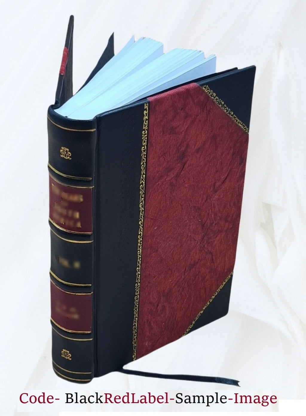 Rio de Janeiro Piauhy Impressões de Viagem Leather Bound D864