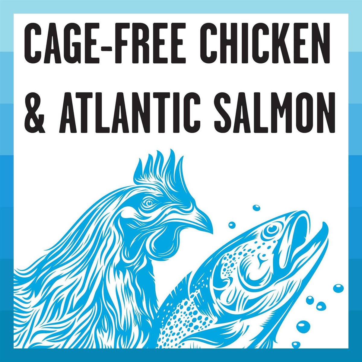 Chicken Recipe Shredded Canned Cat Food U183207