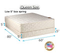 Queen Mattress and Box Spring Set with Bed Frame P3791
